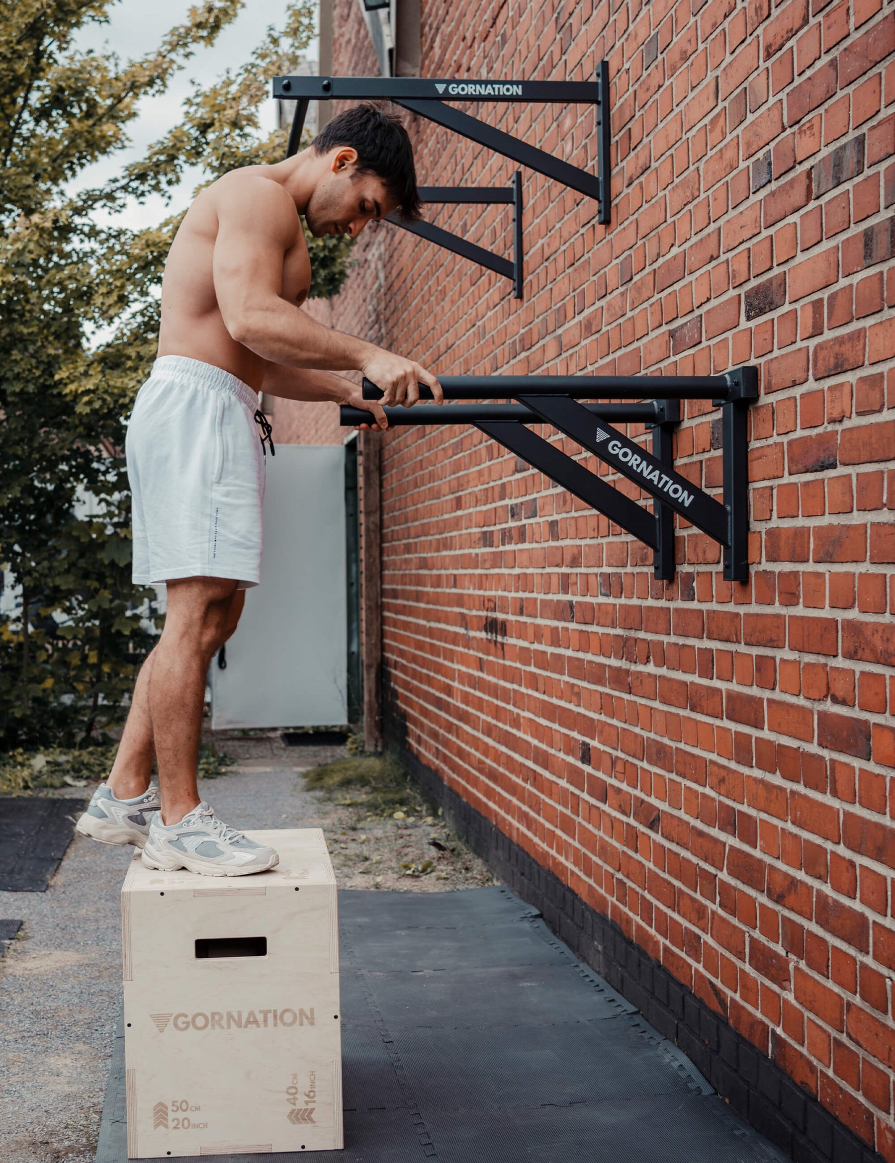 Wall Mounted Dip Bars