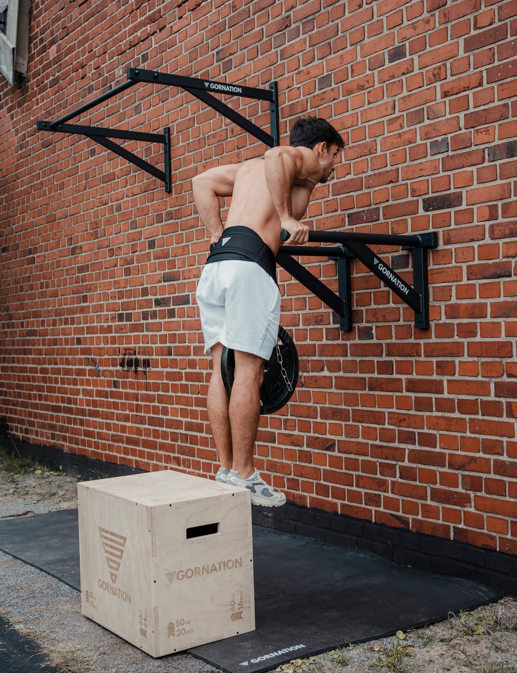 Wall Mounted Dip Bars