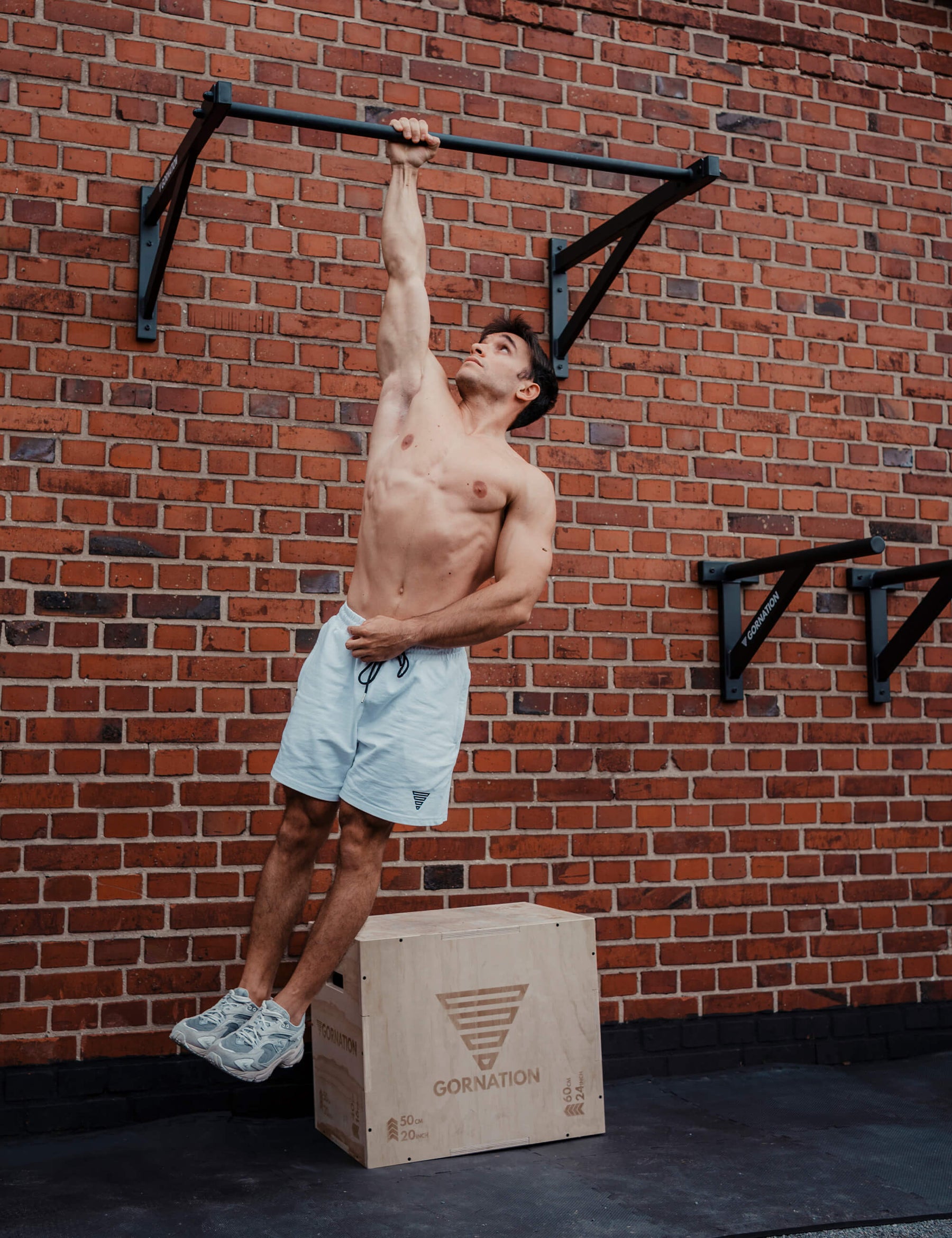 Wall Mounted Pull Up Bar Large