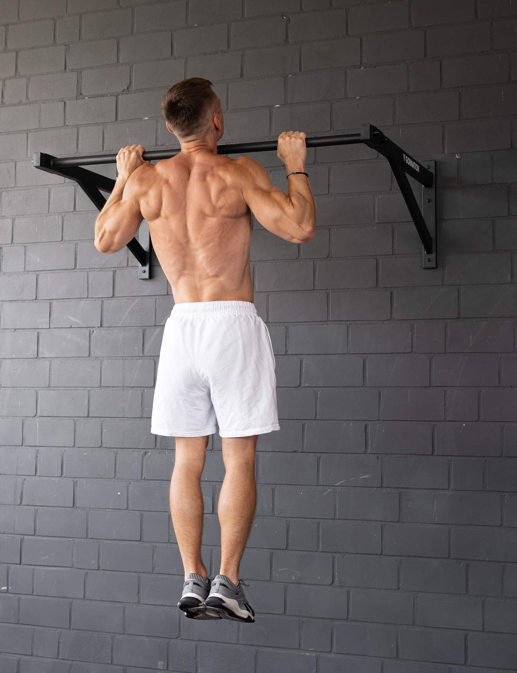 Wall Mounted Pull Up Bar Large