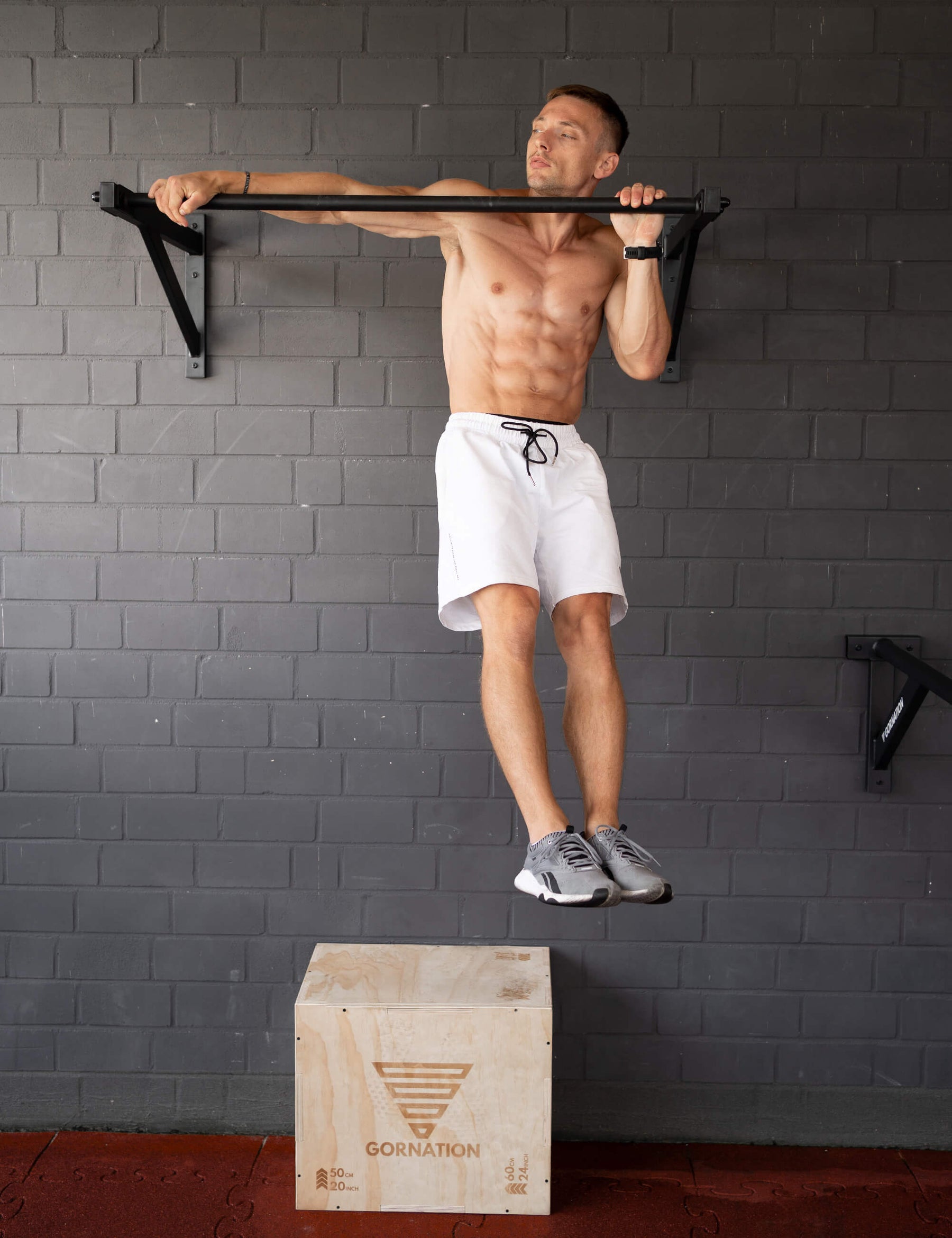 Wall Mounted Pull Up Bar Large