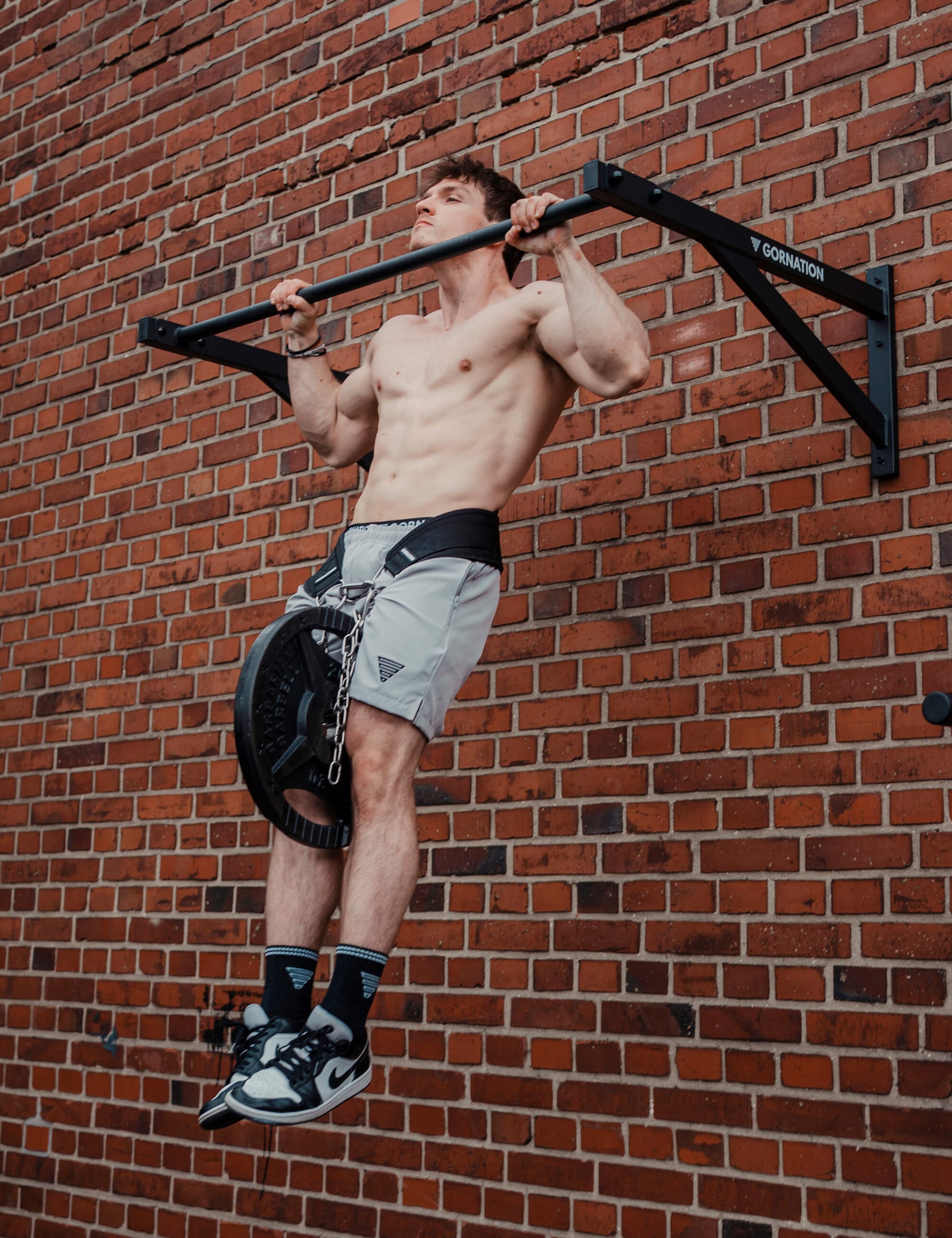 Wall Mounted Pull Up Bar Large