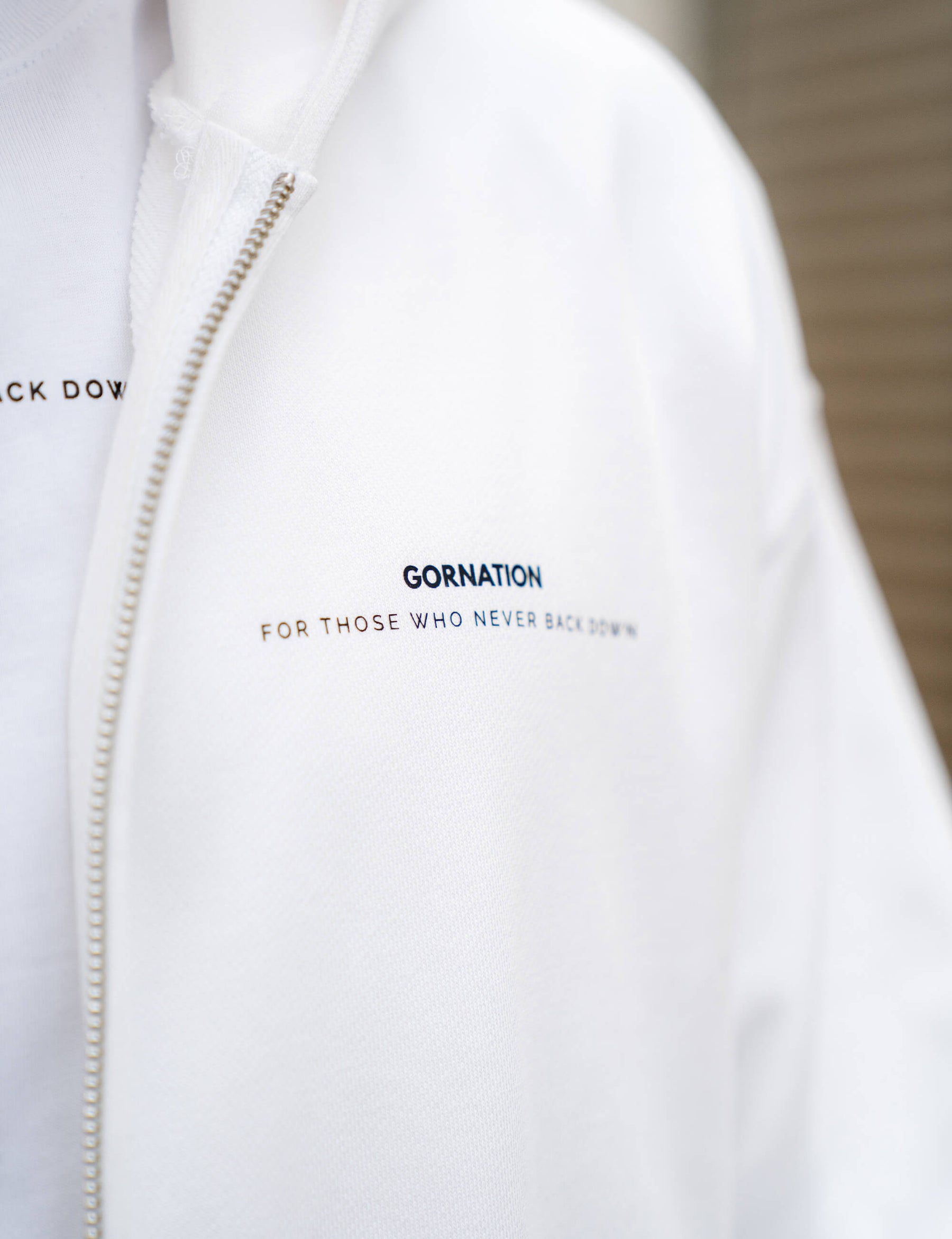 Anime Oversized Zip Jacket Control