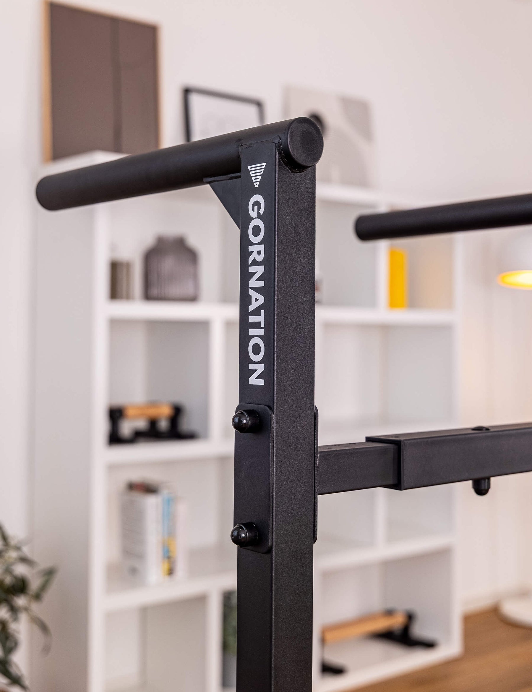 Station de Dips Premium