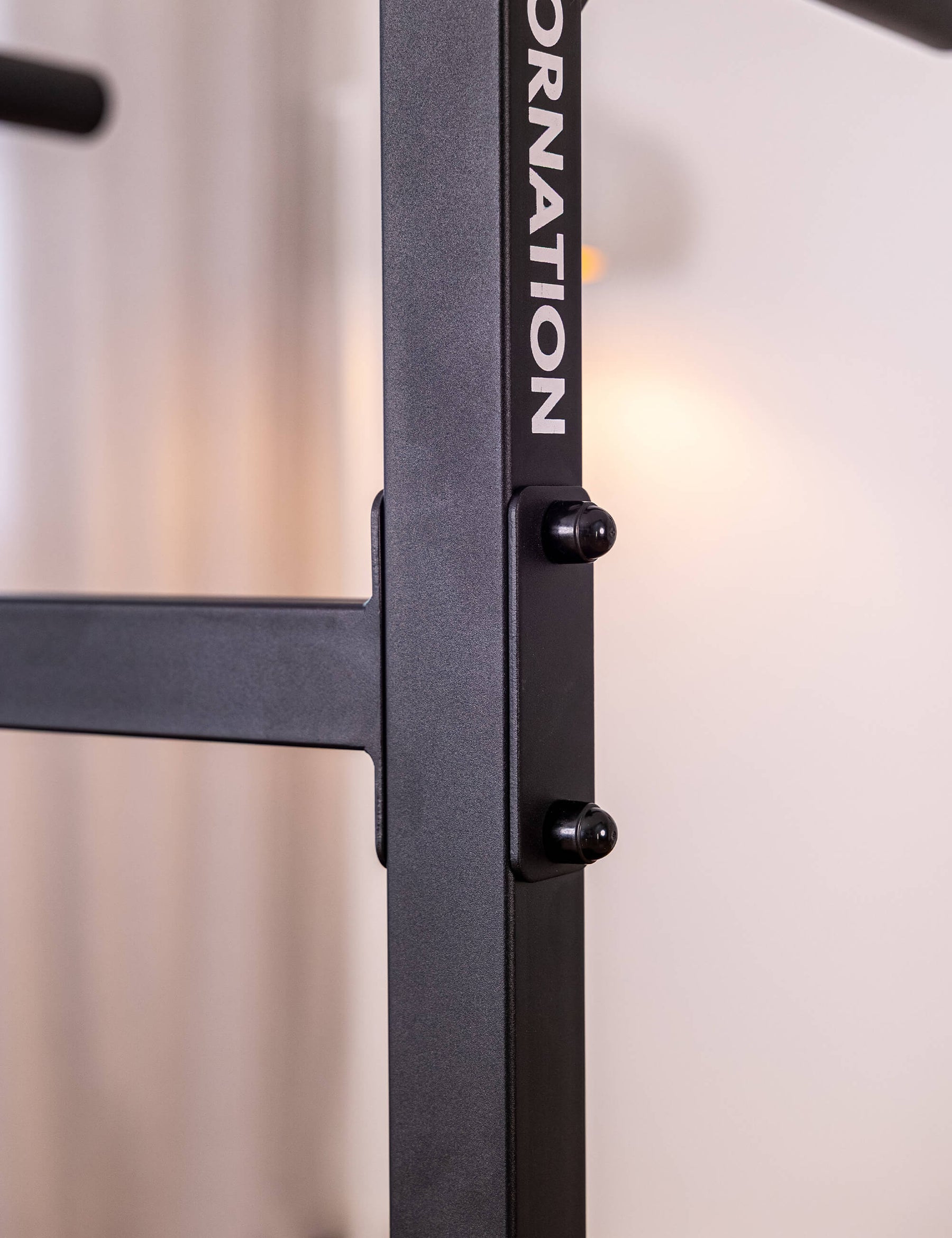 Station de Dips Premium