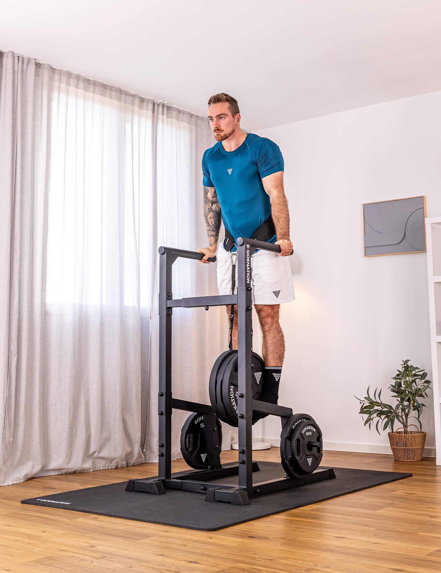 Station de Dips Premium