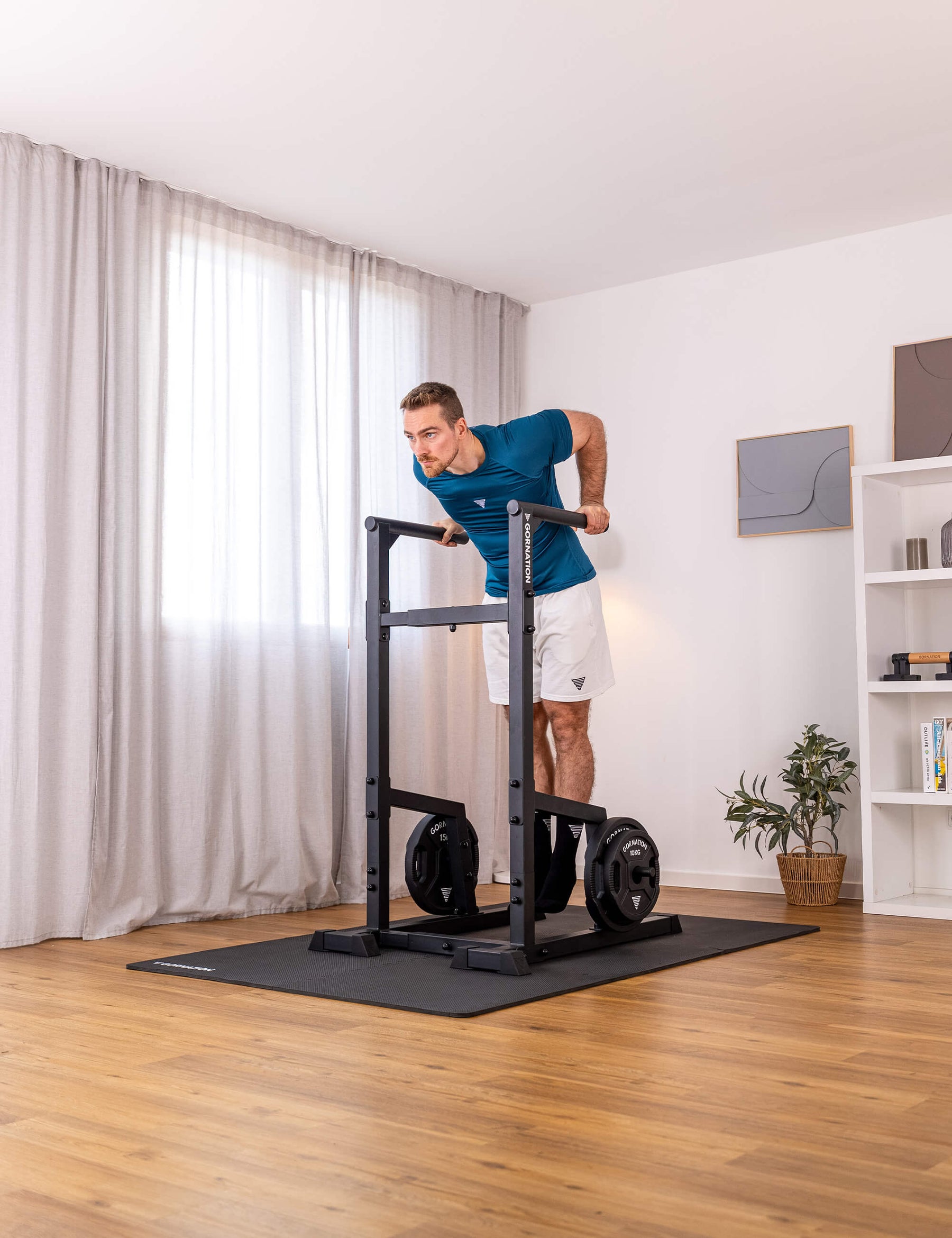 Station de Dips Premium