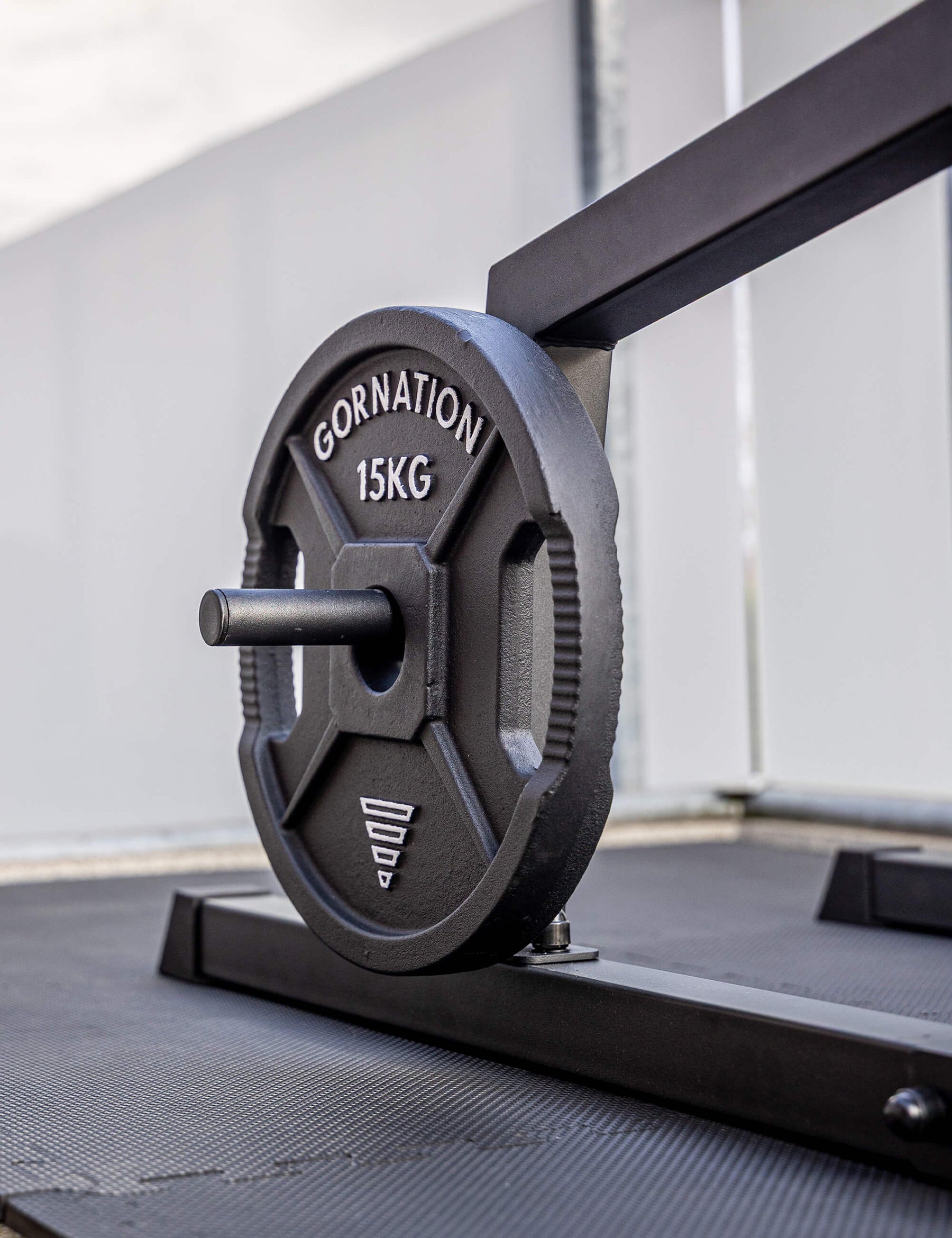 Station de Dips Premium