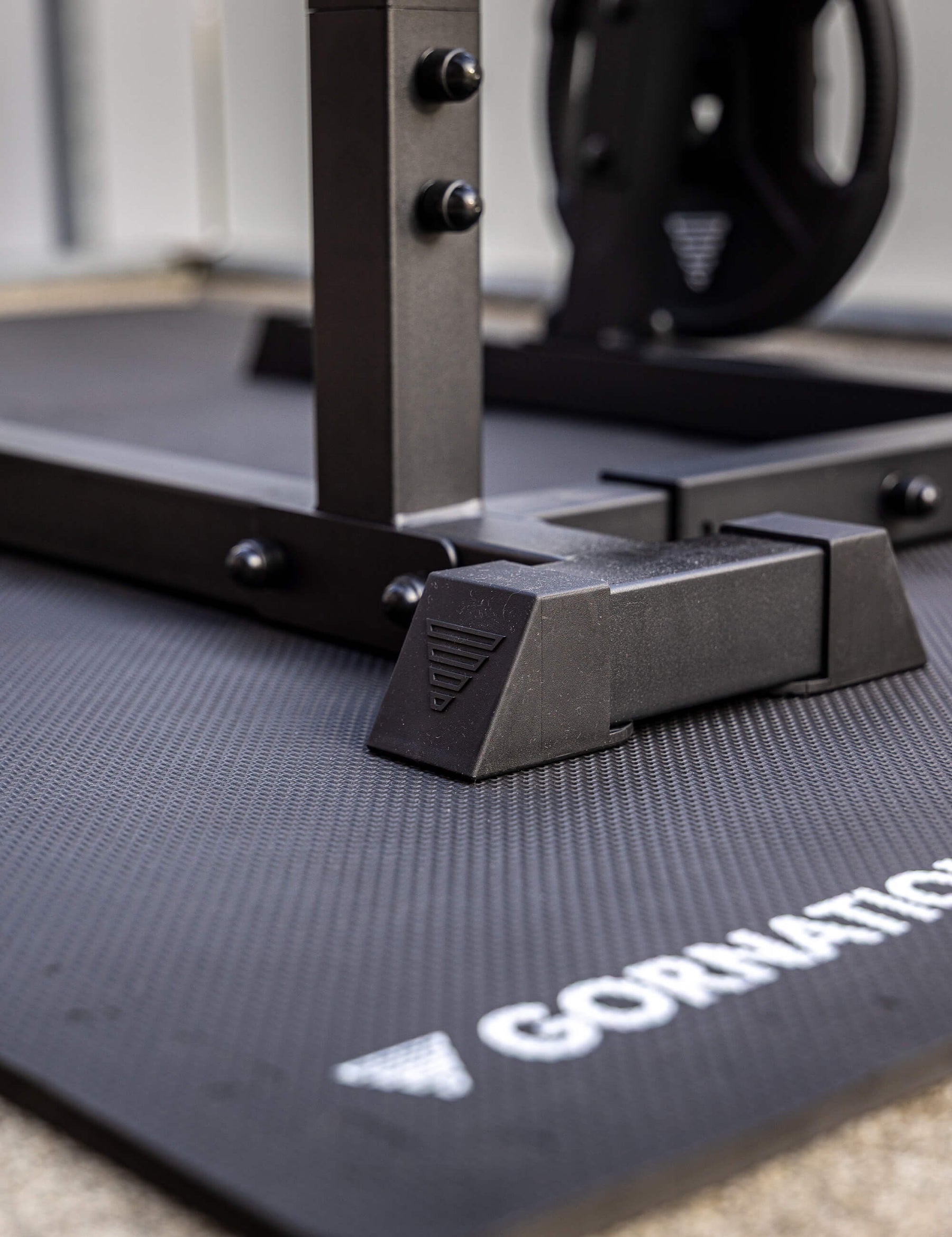 Station de Dips Premium