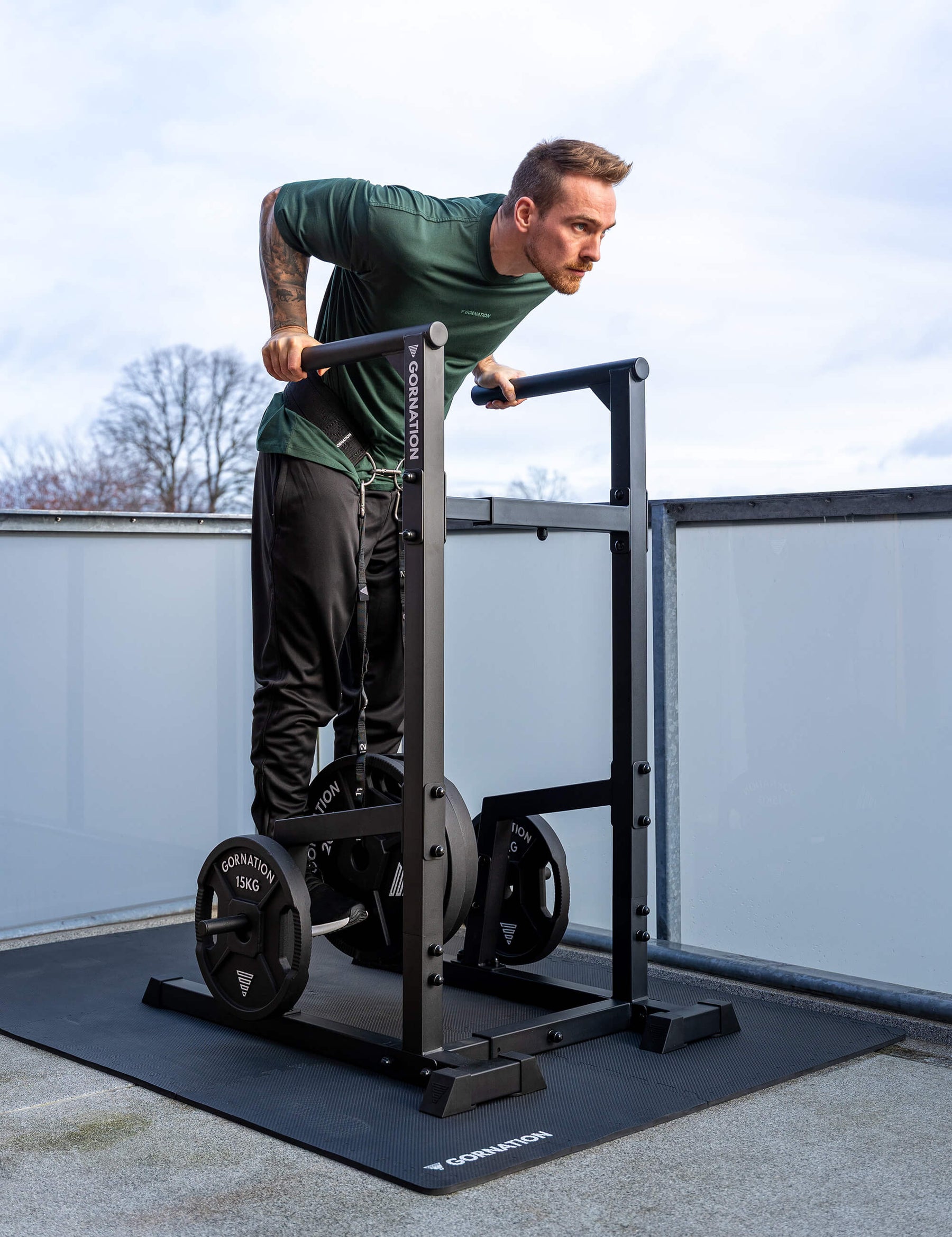 Station de Dips Premium