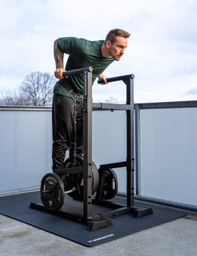 Station de Dips Premium