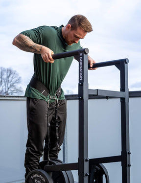 Station de Dips Premium