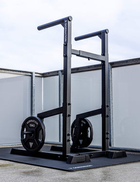 Station de Dips Premium