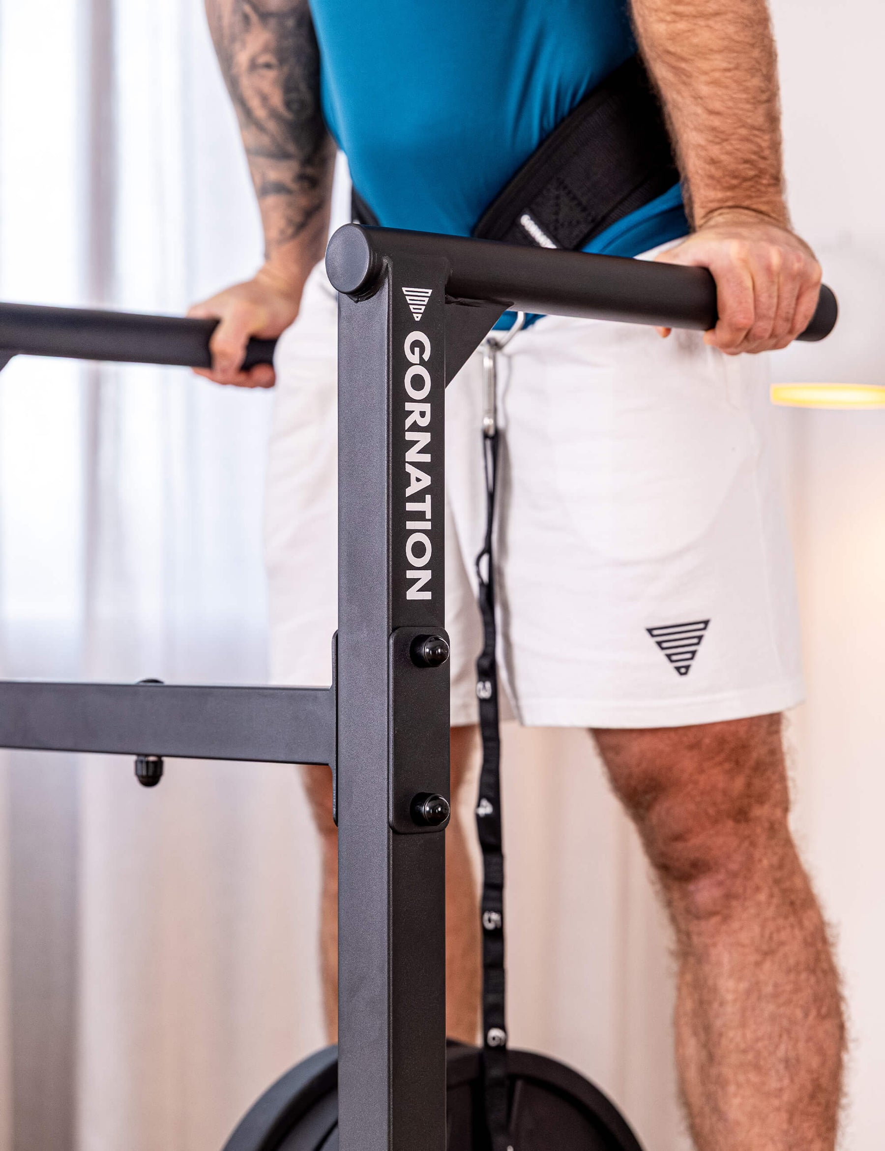 Station de Dips Premium