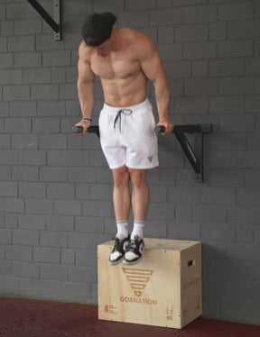 Wall Mounted Dip Bars