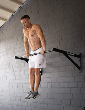 Wall Mounted Pull Up Bar Large