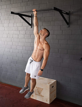 Wall Mounted Pull Up Bar Large
