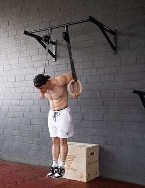 Wall Mounted Pull Up Bar Large